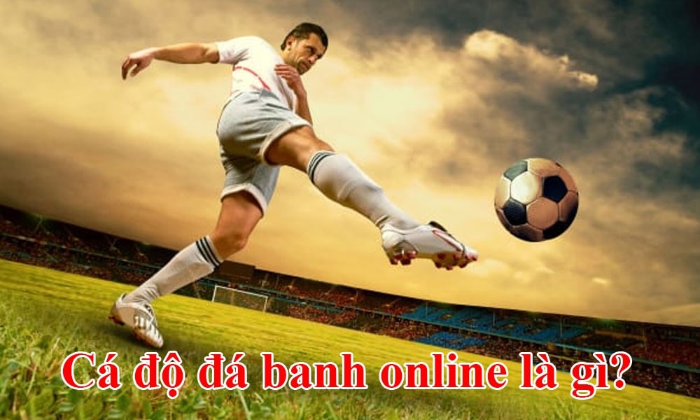 Cá độ bóng đá online là gì? Cá độ bóng đá online